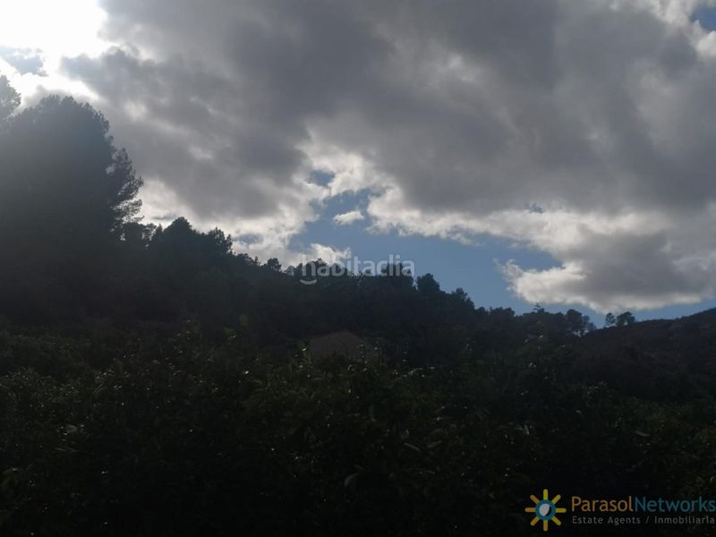 Foto f89a17de-a969-459c-882d-79a5929c8890. Finca rústica a Sellent