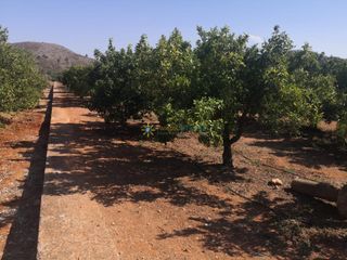 Finca rústica a Oliva Pueblo
