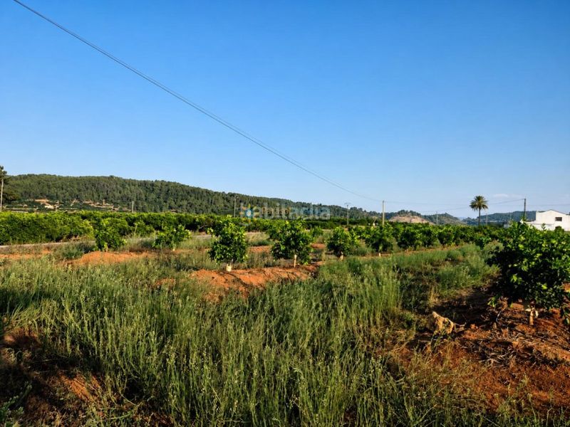 Foto 5b22376c-db28-4073-adc7-ee1ab66b02c3. Masia a Sellent