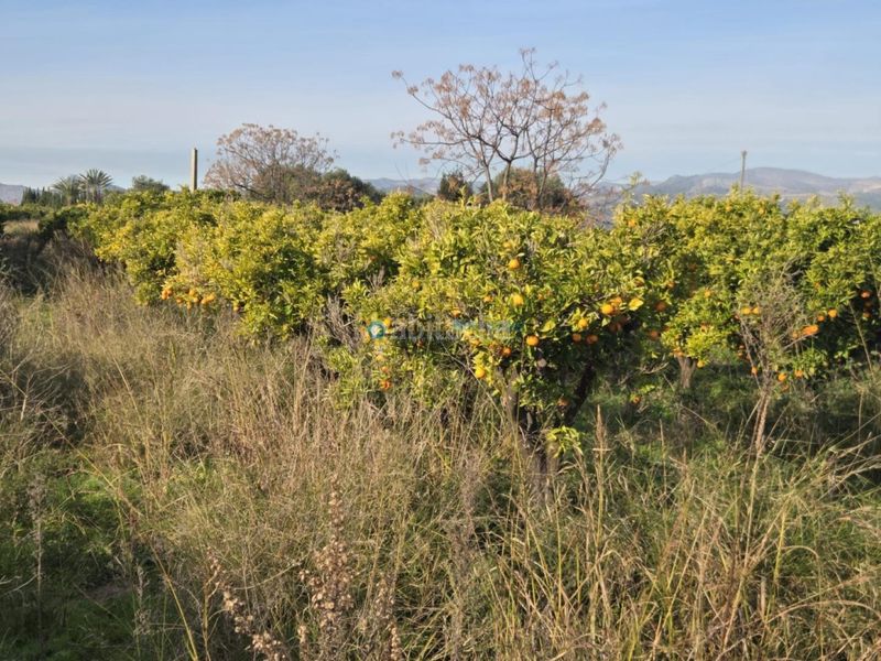 Foto ad0b7e40-5902-47da-accb-1ce00648600a. Finca rústica a Rafelcofer