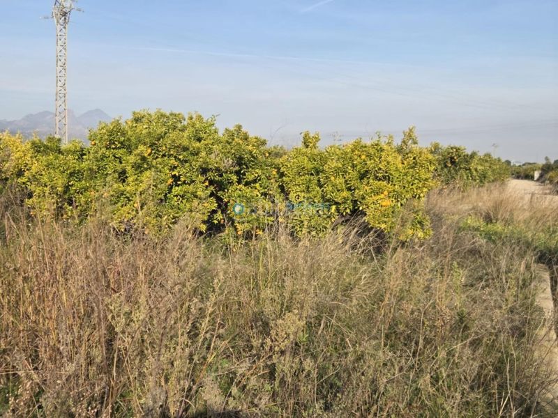 Foto d3afdb95-286b-47a7-8d0b-ed6f5c39bc49. Finca rústica a Rafelcofer
