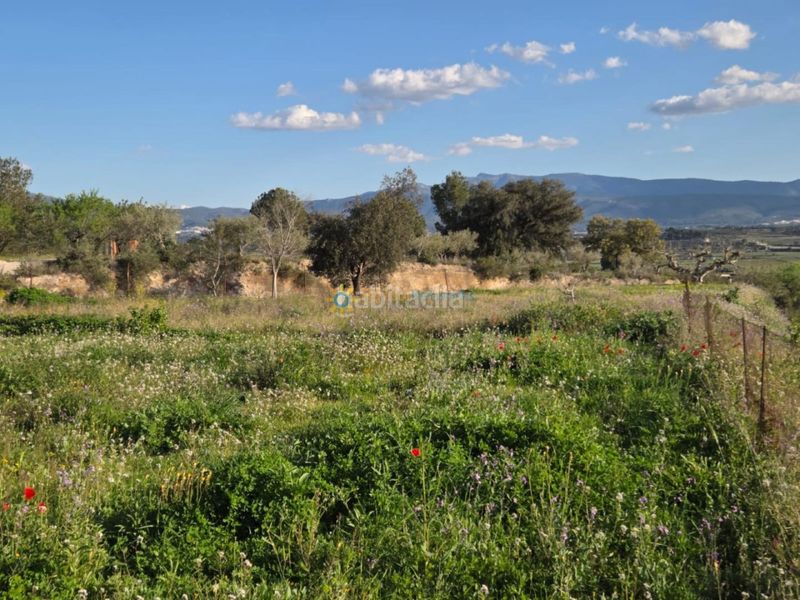 Foto 0f808474-827b-4c83-9e07-811fc73f5f93. Finca rústica a Olleria (l´)