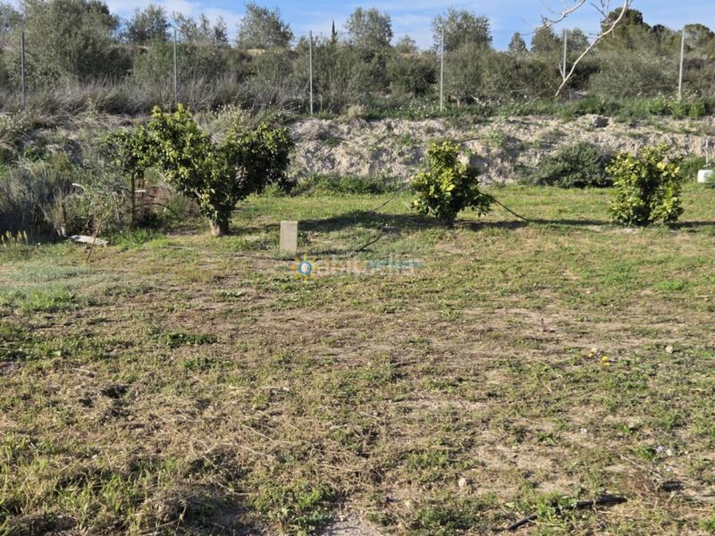 Foto 39cf22cb-3bb9-4cf5-9328-053bd60b7501. Finca rústica a Olleria (l´)