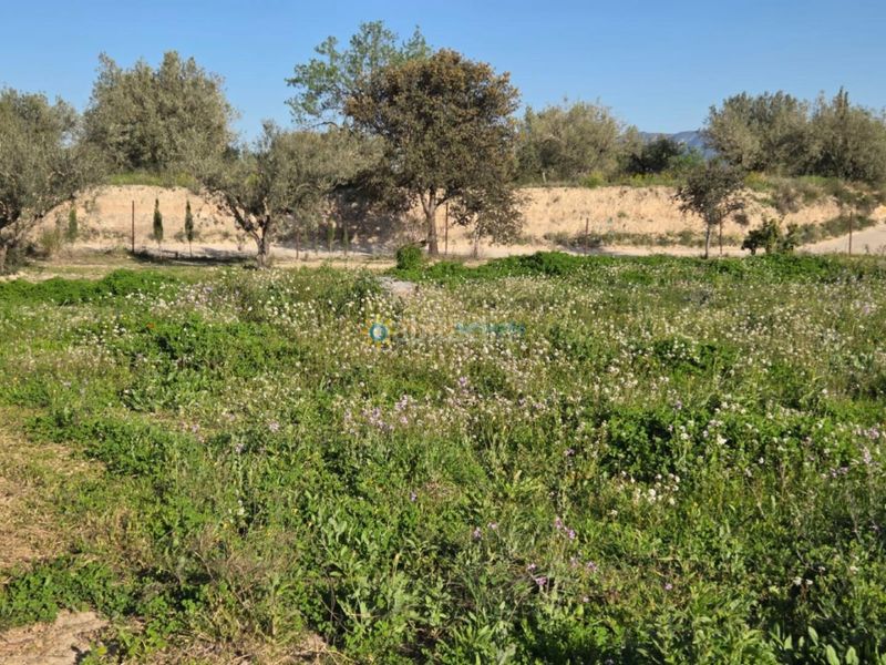 Foto 41959398-5acd-4be0-97d8-48c210a348ab. Finca rústica a Olleria (l´)