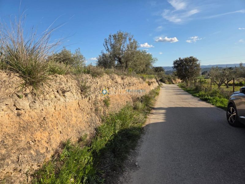 Foto 518abe4a-6c50-4b37-b79b-fbf2285c1751. Finca rústica a Olleria (l´)