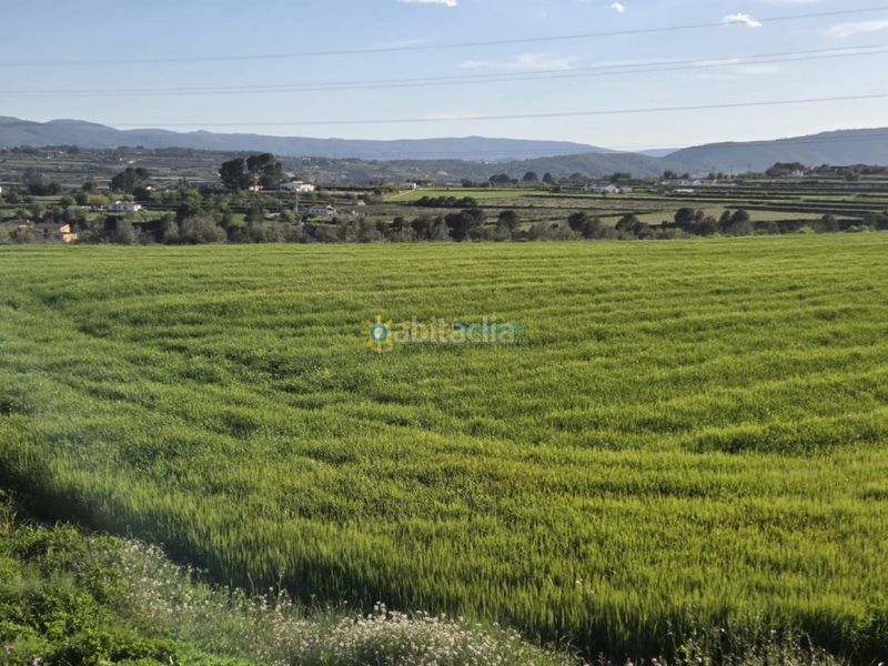 Foto 69db1abc-083f-4121-aa53-5283312abedc. Finca rústica a Olleria (l´)