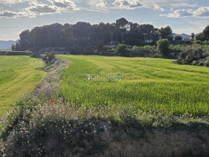 Foto afdd732d-1689-41e7-8c0c-009b6b21954d. Finca rústica a Olleria (l´)