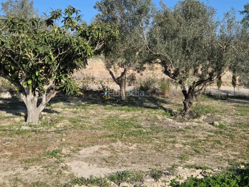 Foto db6d9516-75e9-4184-99a2-bea53b95bac0. Finca rústica a Olleria (l´)