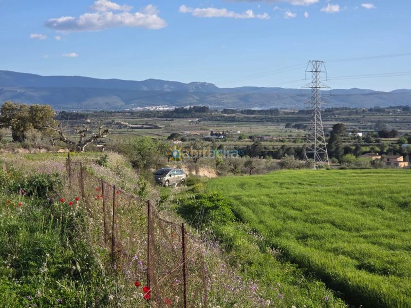 Foto ee7570ee-bc0d-4204-aa56-157e0a518b11. Finca rústica a Olleria (l´)