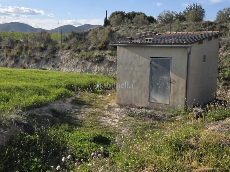 Foto f4ba01fd-9200-46a1-9b4b-fc632ce4234b. Finca rústica a Olleria (l´)