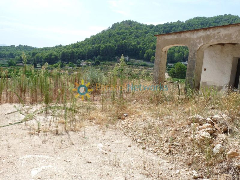 Foto 0a0b4564-9e56-4c66-9b03-bc4cf72d88e6. Finca rústica a El Real de Gandia