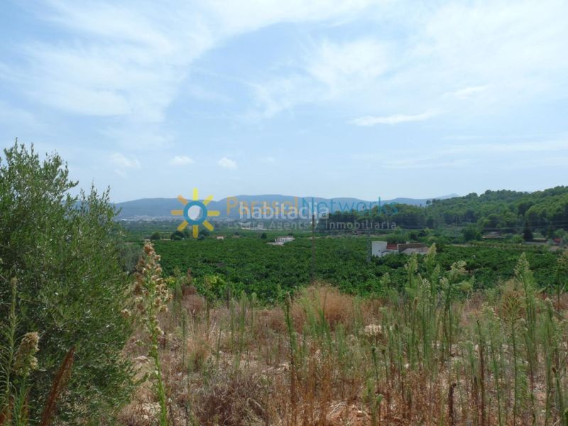 Foto 1d9bbfda-1168-4a2a-a6b2-8324e6ed210d. Finca rústica a El Real de Gandia