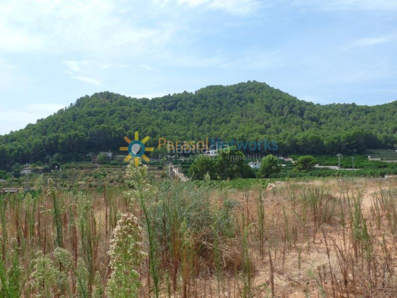 Foto dab39d5c-8e28-472b-a970-e09255e40bc9. Finca rústica a El Real de Gandia