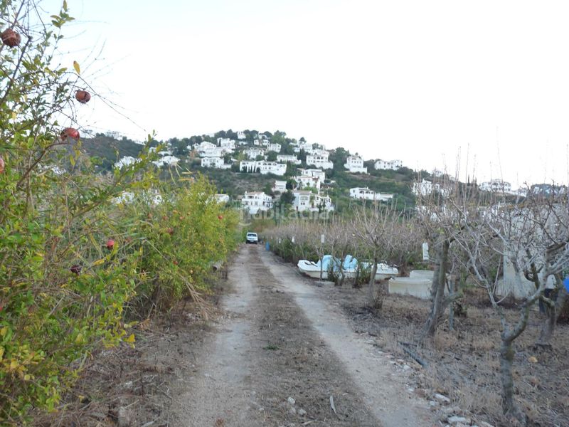 Foto 46f50b5a-c97b-4044-a695-aa313cc3812d. Finca rústica a Pego