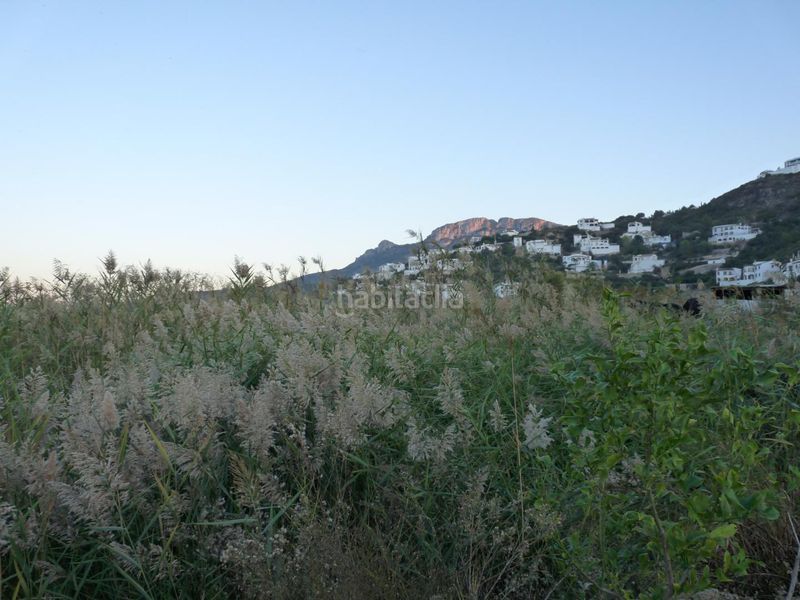 Foto c648bbfa-b239-4ae6-95c8-d6e713c452f4. Finca rústica a Pego