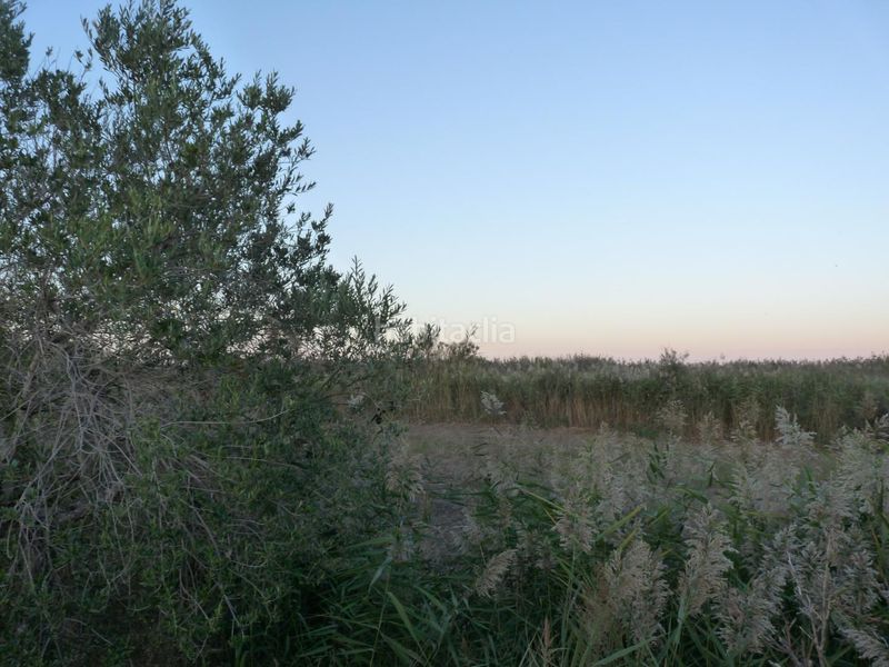 Foto e7b09510-628c-40be-ba6b-7544726a129a. Finca rústica a Pego