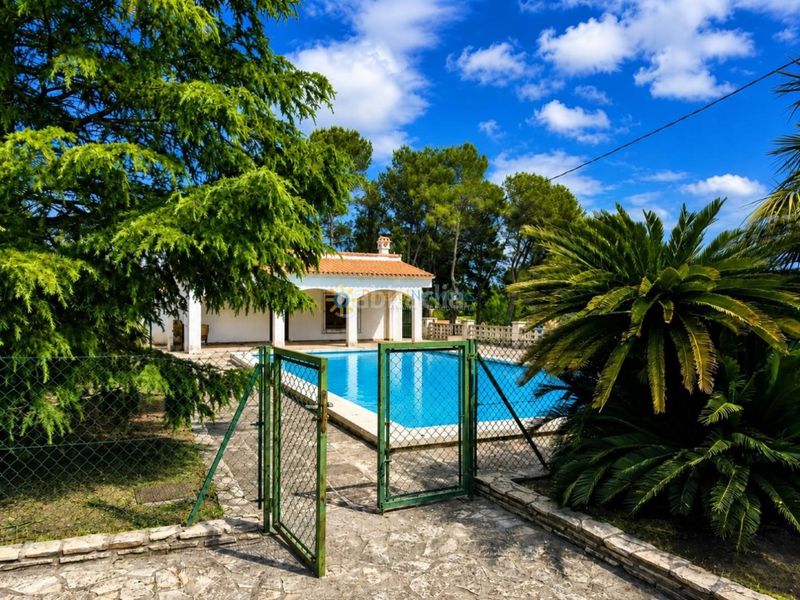 Foto ce84055c-768c-47ce-bd12-d41aed49da9d. Xalet amb xemeneia aparcament piscina a Centro Ontinyent