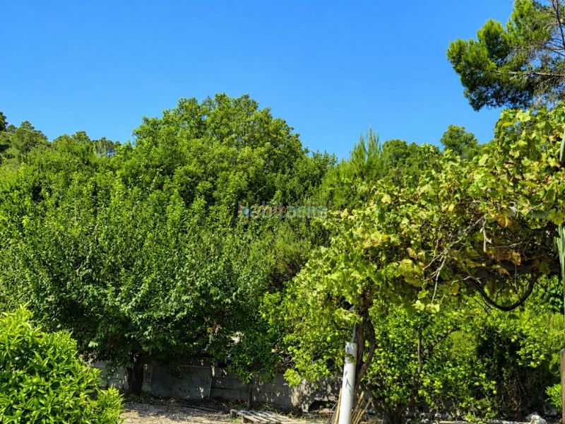 Foto 529fa14c-f21d-424b-bbf9-3c4dd13a9a5c. Masia amb aparcament piscina a Sellent