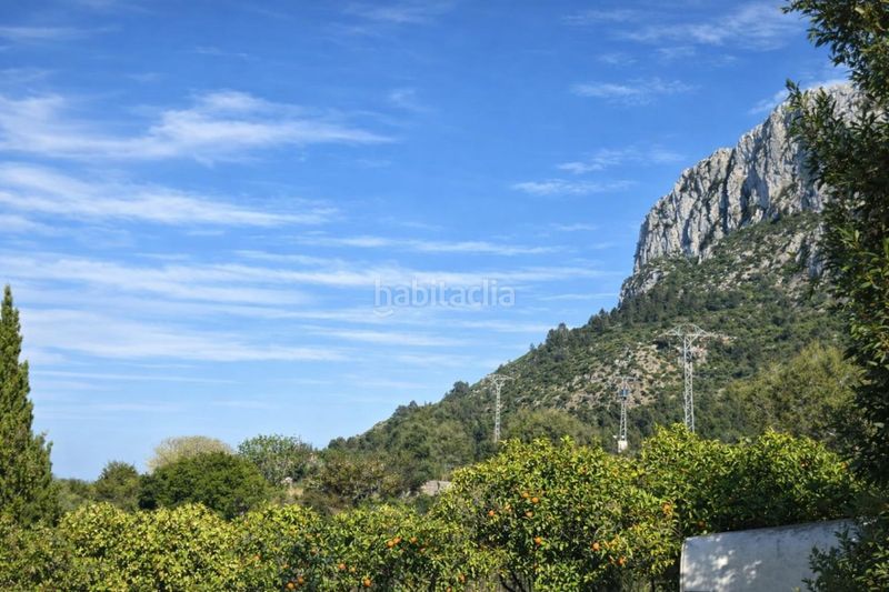 Foto 39b43cf3-2221-4054-9932-0a177bd8e25e. Finca rústica a carrer trinquet 7 a Benimeli