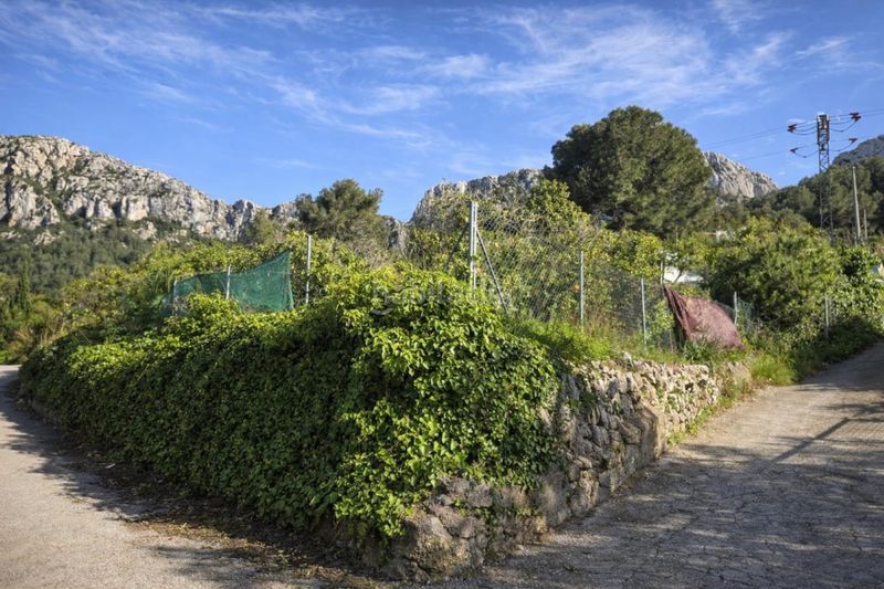 Foto 7a1b9142-f931-496b-a33a-d17b4a966caa. Finca rústica a carrer trinquet 7 a Benimeli