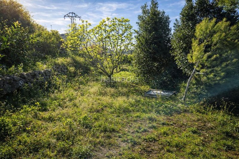 Foto c3d0fae2-05b1-42fd-9ec0-16e2714f8f62. Finca rústica a carrer trinquet 7 a Benimeli