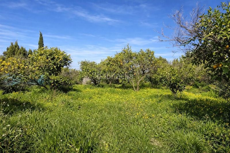 Foto d6f8c5d1-5c58-4b6b-bcdc-a258d30815b3. Finca rústica a carrer trinquet 7 a Benimeli