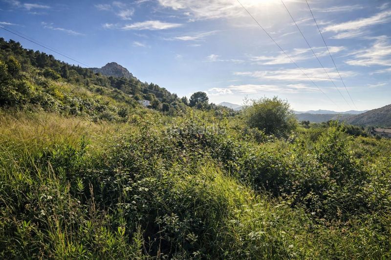 Foto d7d9a62c-8359-4a5c-977c-1e3c5d48c755. Finca rústica a carrer trinquet 7 a Benimeli
