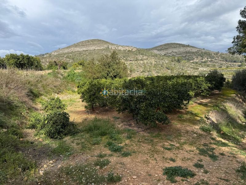 Foto 56a4c157-216d-4fc4-a6e5-4cba6327ed40. Finca rústica a Benigànim