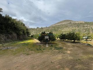 Landgut in Benigànim. Terreno de venta en beniganim