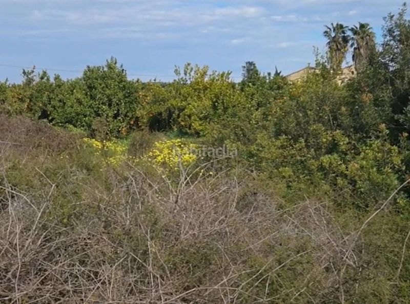Foto 2e6b8af4-560f-4eed-9199-456b986ea170. Finca rústica a Plaza Elíptica - República Argentina Gandia