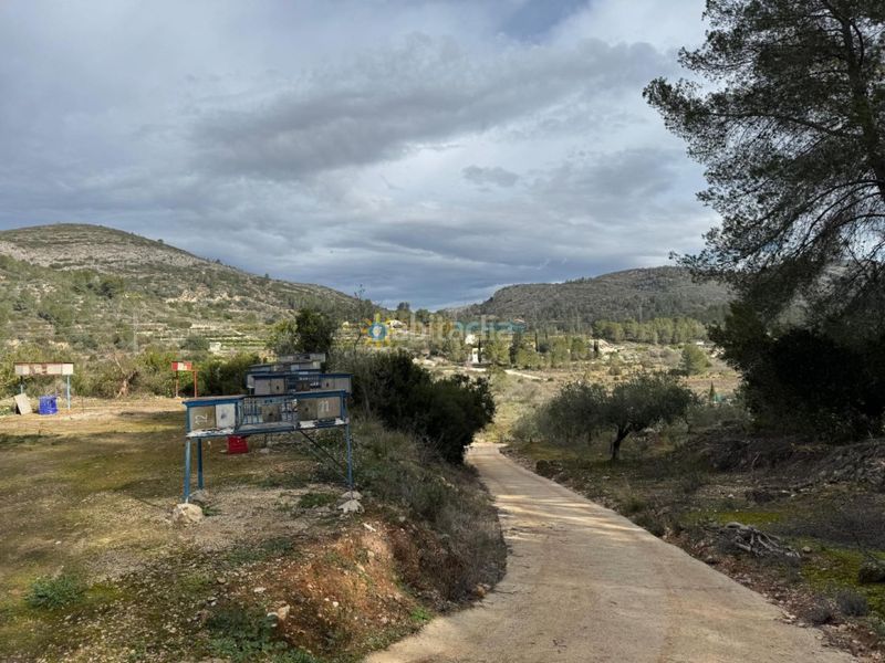 Foto e3aa2f32-b219-4dc1-89b1-2036fe5e3c48. Finca rústica a Benigànim