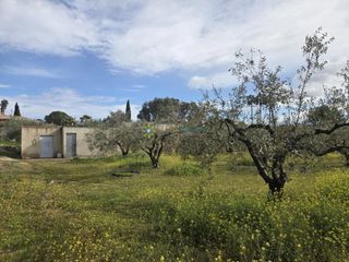 Rural plot in Benigànim. Terreno de venta en beniganim
