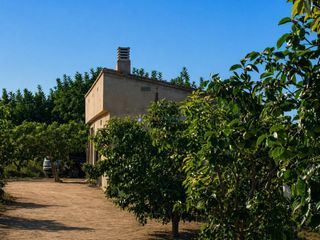 Landgut in Albaida. Terreno rural en venta en albaida