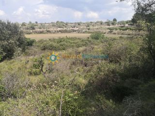 Rural plot in Castelló de Rugat. Terreno de venta en castelló de rugat