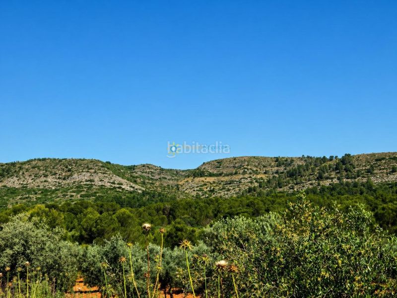 Foto c31798f5-5f8e-4550-a25a-0c80e00678a5. Finca rústica a Bellús