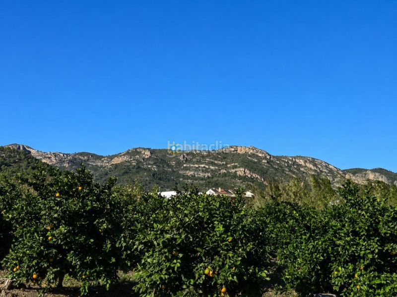 Foto 60bd10d9-d5cc-4948-8bd9-2c3a756d5ca5. Masia amb aparcament a Xeraco