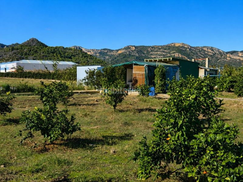 Foto 79b81ab9-650c-4c30-91f6-c55a0abbcb9e. Masia amb aparcament a Xeraco