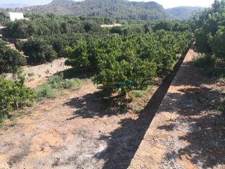 Finca rústica a Oliva Pueblo