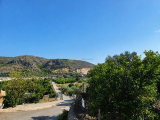 Finca rústica a Atzúbia (L´)