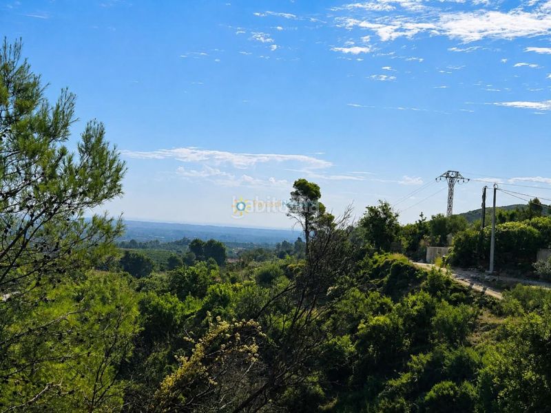 Foto 57a98ad9-929c-43b4-8c7a-ab470e5fd29d. Finca rústica a Atzúbia (L´)
