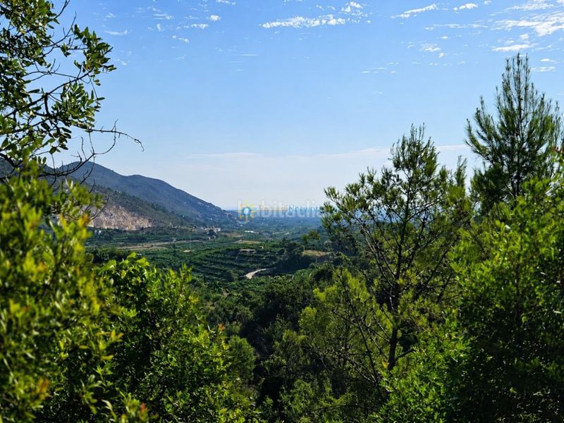 Foto 926c5567-7b6d-4e0f-8fd7-8f13d6a8415c. Finca rústica a Atzúbia (L´)