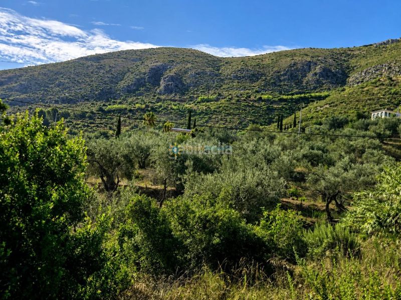 Foto 94477d1d-e849-4973-9700-63c4ab423d2f. Finca rústica a Atzúbia (L´)