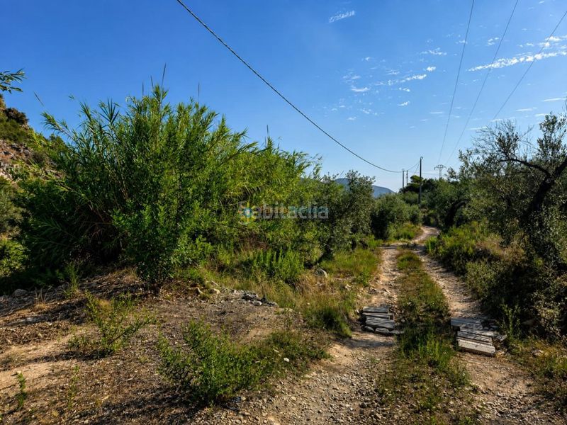 Foto cc68450c-8e0d-4cfd-af75-bde15158954e. Finca rústica a Atzúbia (L´)