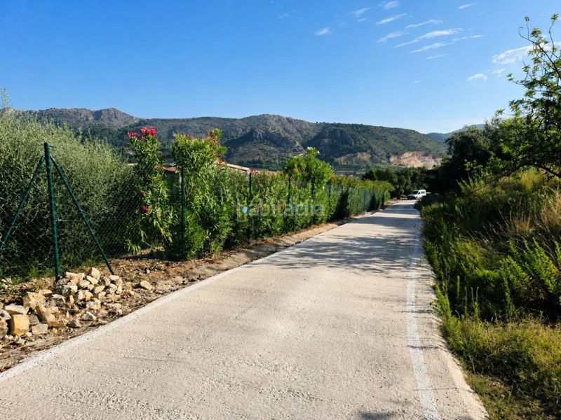 Foto 0bfc612d-3a20-461a-955d-9c924b41664d. Finca rústica a Atzúbia (L´)