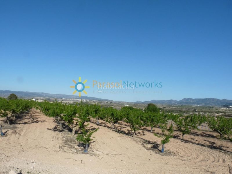 Foto 0d96f768-9c12-4d84-985a-a76727d040b7. Finca rústica terreno de venta en belgida en Bèlgida