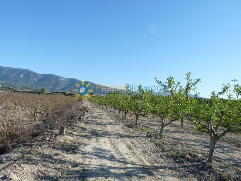 Foto 37b729e7-5422-4ea8-b24f-b14a7ec162bb. Finca rústica terreno de venta en belgida en Bèlgida