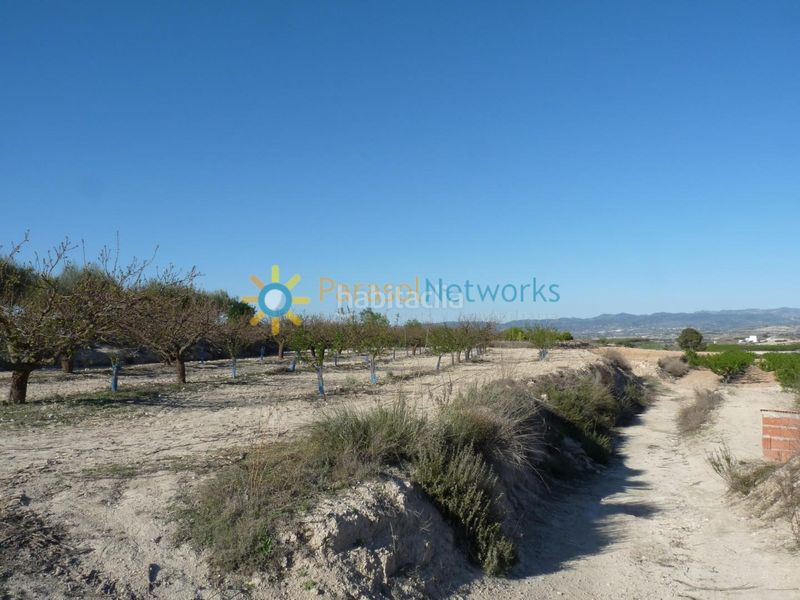 Foto 49f5796b-d726-4a63-9544-d07c6c41eb90. Finca rústica terreno de venta en belgida en Bèlgida
