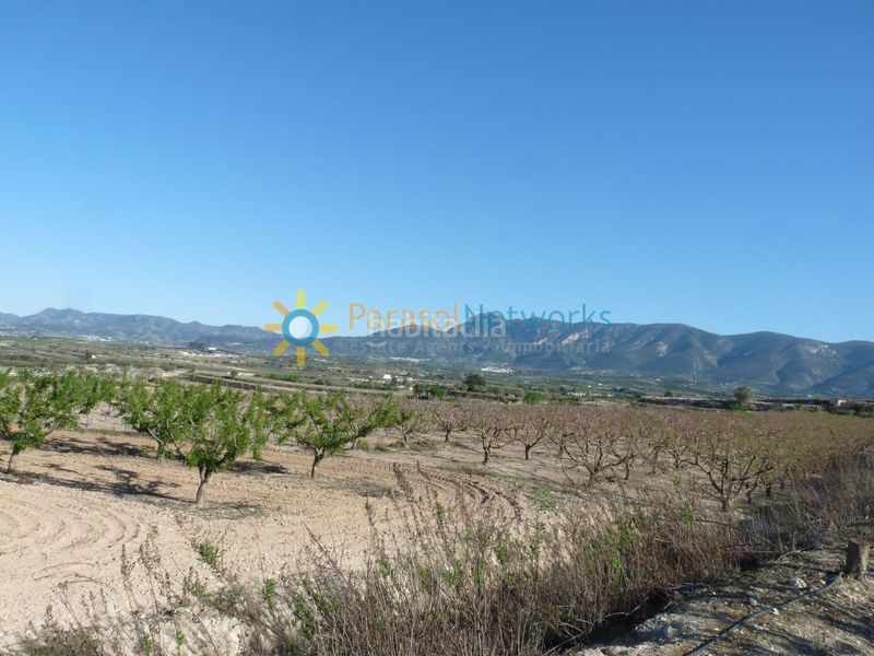 Foto 5cc4a837-ba01-4d83-bda6-e3a76132bc55. Finca rústica terreno de venta en belgida en Bèlgida