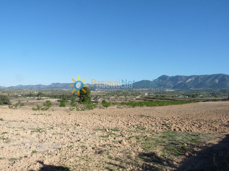 Foto 81faaed1-4a90-4e39-8042-d7599a3cb505. Finca rústica terreno de venta en belgida en Bèlgida