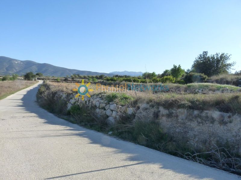 Foto 9501ca29-a403-4f88-80bc-651b6f5ec63c. Finca rústica terreno de venta en belgida en Bèlgida